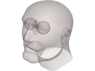 Head Male 3D Model