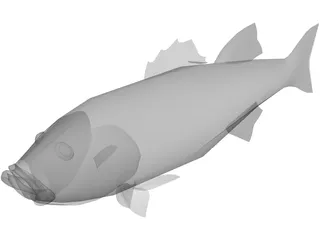 Fish 3D Model