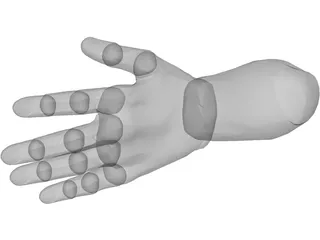 Hand Male 3D Model