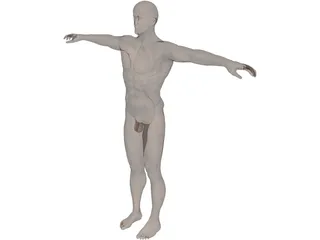 Man 3D Model