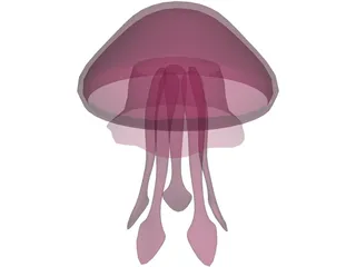 Jelly Fish 3D Model