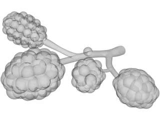 Alveoli 3D Model