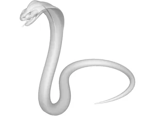 COBRA DOWNLOAD COBRA 3d model animated for  blender-fbx-unity-maya-unreal-c4d-3ds max - 3D printing SNAKE COBRA SNAKE