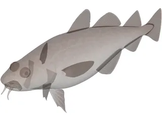 Pacific Cod 3D Model