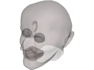 Head Man 3D Model