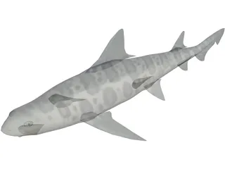 Leopard Shark 3D Model