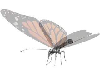 Butterfly 3D Model