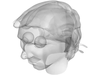 Head Messi 3D Model