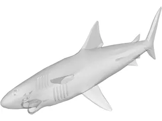 Shark Great White 3D Model