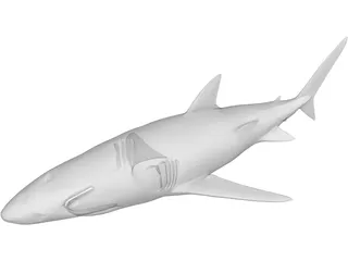 Blue Shark 3D Model