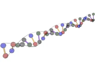 DNA Strand 3D Model