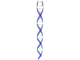 DNA Strand 3D Model