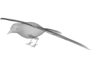 Dove Rock Pigeon 3D Model