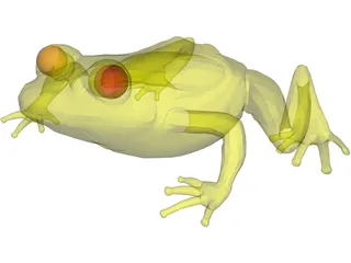 Frog 3D Model