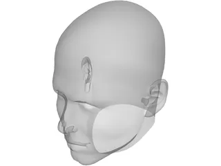 Man Head 3D Model