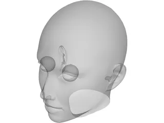 Woman Head 3D Model