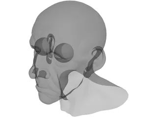 Man Head Old 3D Model