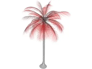 Palm Tree 3D Model