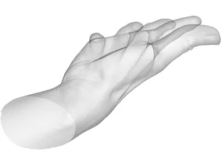 Open Hand 3D Model