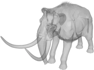 Mammoth 3D Model