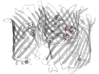 Protein 3D Model