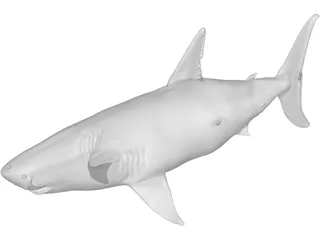 White Shark 3D Model