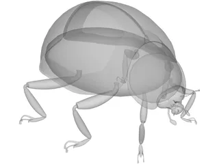 Ladybug 3D Model