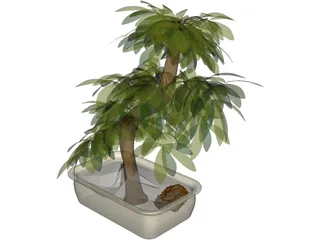 Small Tree 3D Model