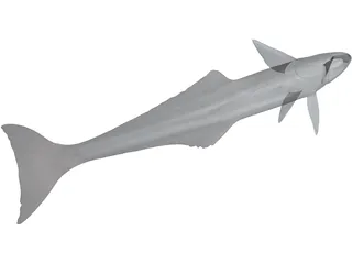 Remora 3D Model