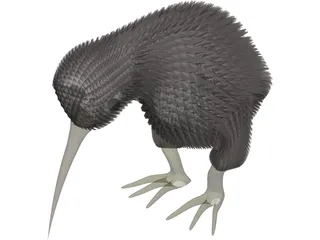 Kiwi Bird 3D Model