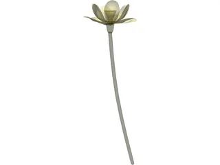 Lotus Flower (Nelumbo Lutea) 3D Model