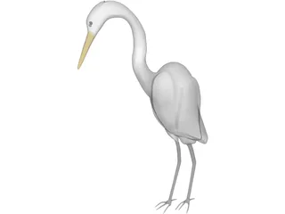 Great Egret (Ardea Alba) 3D Model