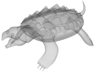 Alligator Turtle (Macrochelys Temminckii) 3D Model