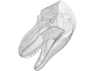 Tyrannosaurus Rex Head 3D Model