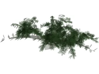 Tree 3D Model