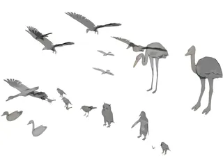 Birds Collection 3D Model