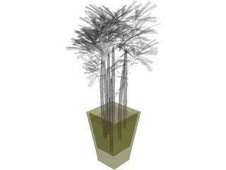 K-VG Rhapis B 3D Model