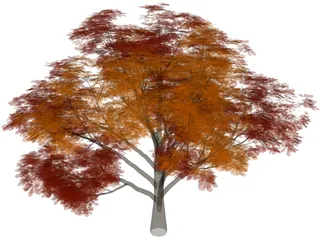 Chestnut Tree 3D Model