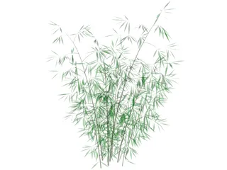 Bamboo 3D Model