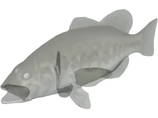 Bass 3D Model