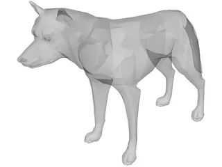 Coyote 3D Model