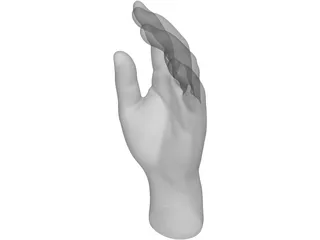 Hand 3D Model