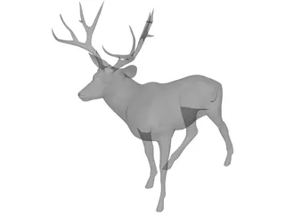 Stag 3D Model