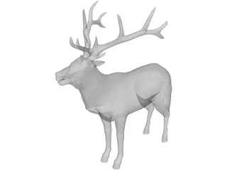 Elk 3D Model