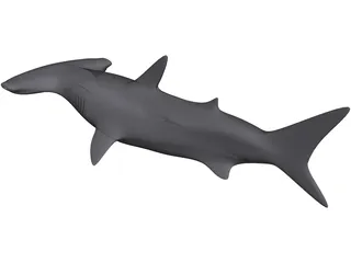 Shark 3D Model