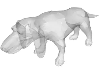 Dog Basset 3D Model