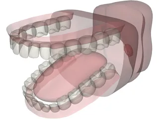 Mouth 3D Model