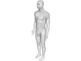 Man 3D Model