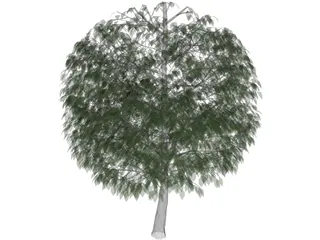 Tree 3D Model