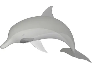 Dolphin 3D Model